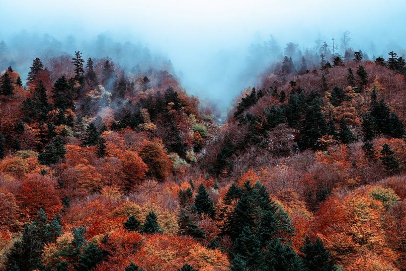 Collines d'automne par Lars van de Goor