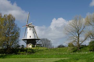 Die Mühle in Veere von Wil van der Velde