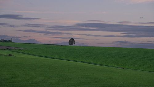Landschap in het laatste avondlicht