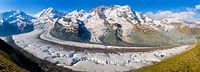 Panorama Gornergletscher van Anton de Zeeuw thumbnail