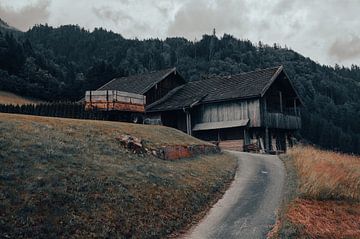 Boerenschuur met kar in berglandschap van Adri Vollenhouw