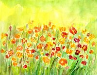 Dancing into the summer
