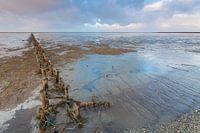 Wadden coast