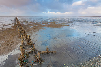 Wadden coast