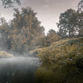 Rivier de Worm van Maurice Cobben