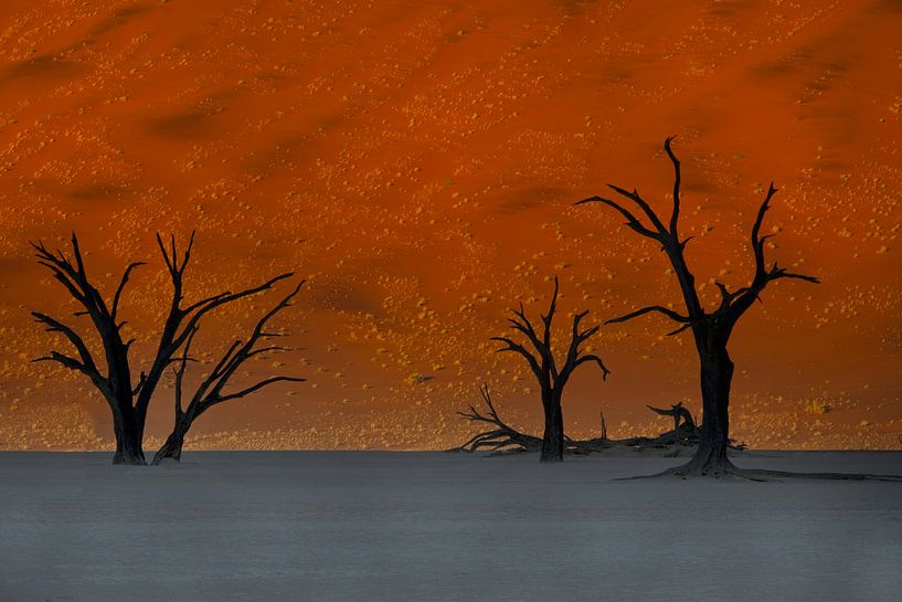 Sunrise at Sossusvlei, Namib desert, Namibia, Africa by Michael Kuijl
