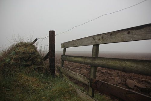Texel Landschap 044