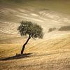 Toscaans Landschap van Peter Poppe