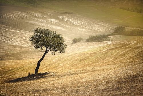 Toskanische Landschaft