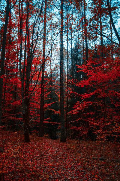 Mother Nature by Hello Pompoyo