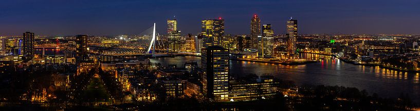 Skyline Rotterdam II van Peter Sneijders