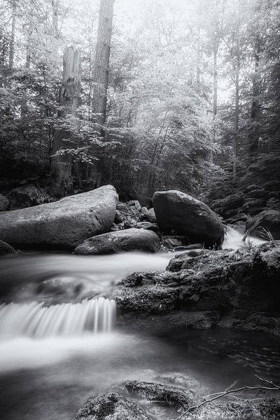 Harzil Seglow BW van Tim Lee Williams
