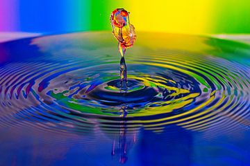 Water drop collision by Dieter Fischer