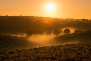 Sonnenaufgang über endlosen Hügeln in der Heide, Veluwe, Niederlande von wunderbare Erde