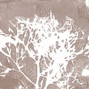 Moderne abstracte botanische kunst. Boom in wit op beige van Dina Dankers thumbnail