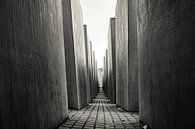 Berlijn - Holocaust memorial  / monument van Mischa Corsius thumbnail