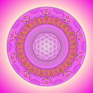 Mandala de cristal-ESCHA'TA=connexion à la conscience du Christ sur SHANA-Lichtpionier