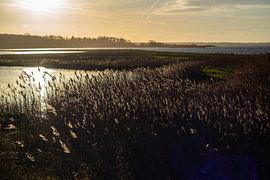 View of the waves and the water of the sea by Matthias Korn