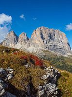 Langkofel - Wahrzeichen Südtirols