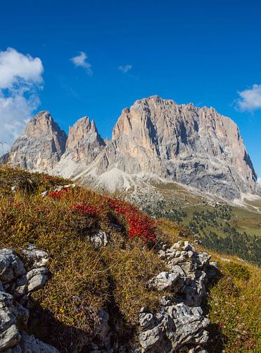 Langkofel - herkenningspunt van Zuid-Tirol