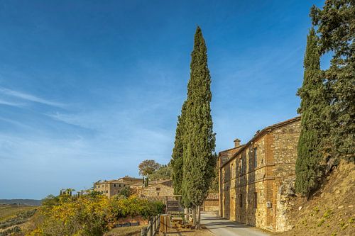 Lucignano d'Asso - Toscane II