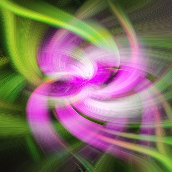 Artistic flower by Bert Hooijer