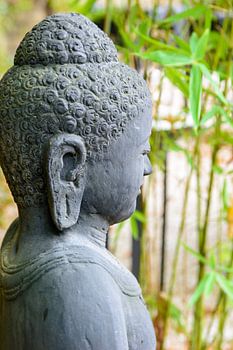 buddha im zen-garten