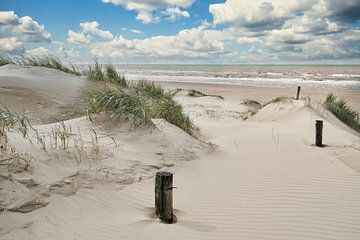 Kust met duin en strandopgang van eric van der eijk