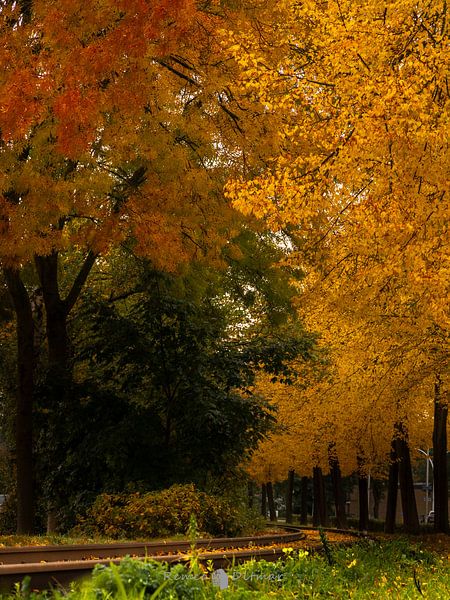 herfst in Hengelo van Remco Ditmar