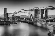 Rotterdam aan de Maas  van Rob van der Teen thumbnail