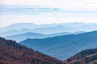 Nevelachtig landschap met heuvelruggen in de Ardèche van Martijn Joosse thumbnail