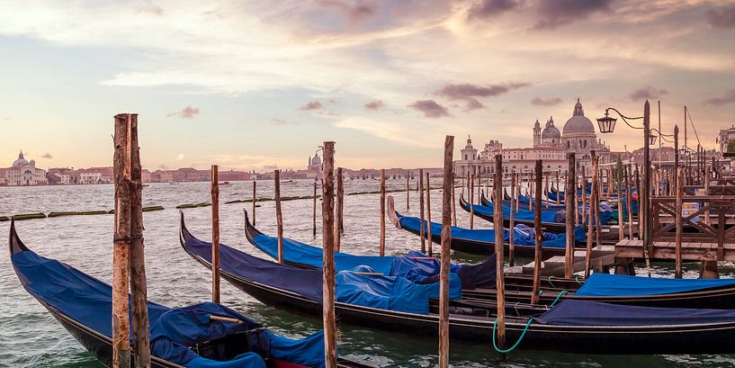 VENEDIG Gondeln &amp; Santa Maria della Salute | Panorama von Melanie Viola