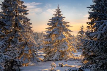 Golden hour in winter by Steffen Henze