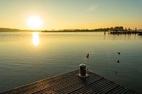 Nieuw Robbengat in Nationaal Park Lauwersmeer, Groningen