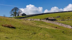 Landschaft in den englischen Dales