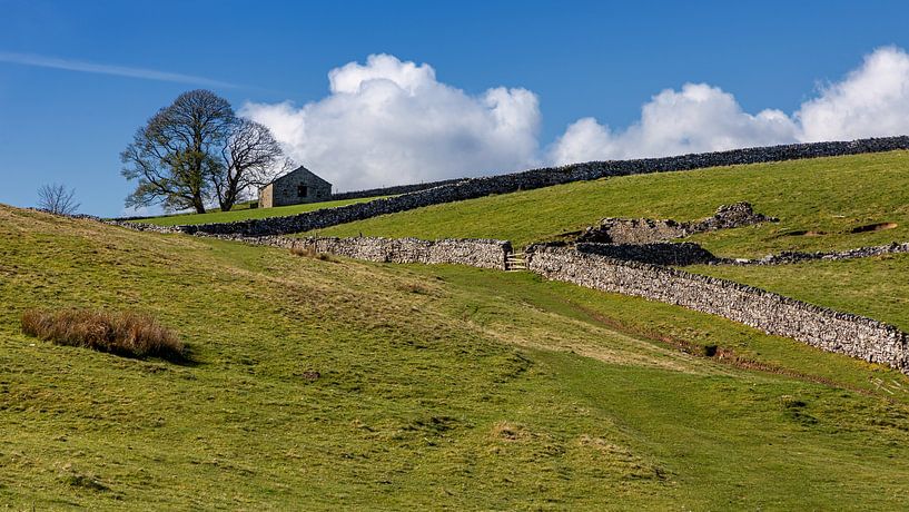 Landschaft in den englischen Dales von Adelheid Smitt
