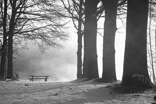 Sunrise on a foggy morning