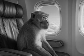 Affe auf dem Sitz neben dem Flugzeugfenster von Art & Soul Creations