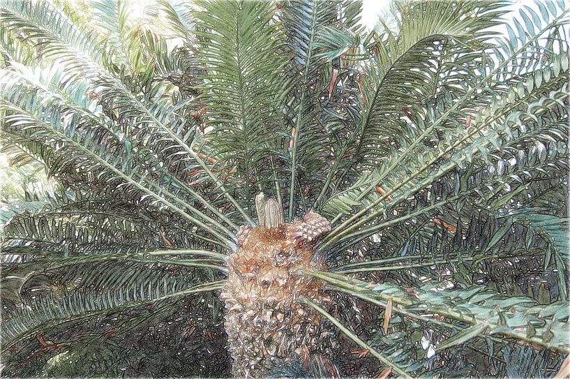 Planten 16 by True Color Stories