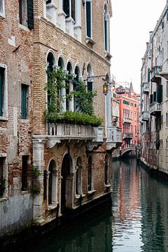 Ventian canal houses by Bianca ter Riet