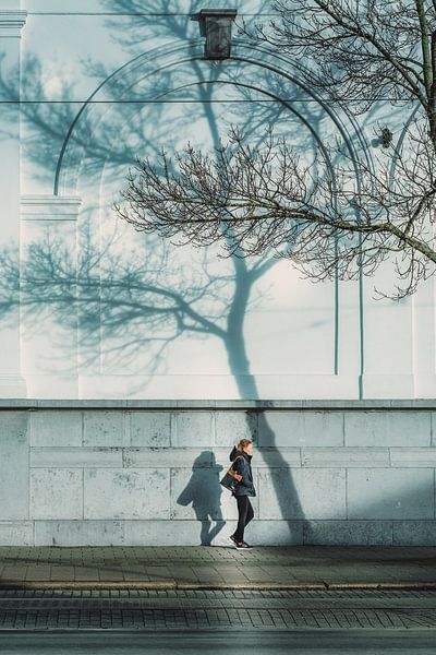 Shadow Game by Els F.