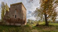 The old castle