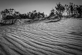 Zand golven in Australie