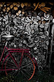 Ein rotes Fahrrad vor einem ganzen Stapel Holzscheite. Bereit für den Winter in Zwolle in den Niederlanden von Koen Lipman