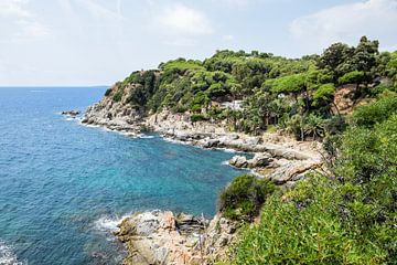 Natur in Spanien von Maria-Maaike Dijkstra