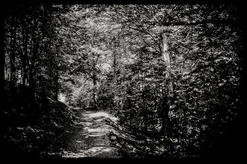 Boswandeling  von Kunst van Karin