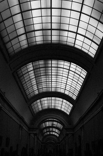 Het dak in het Louvre | Parijs | Frankrijk Reisfotografie