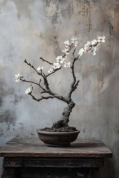 Bonsai met amandelbloesem en old hout stilleven. van Digitale Schilderijen