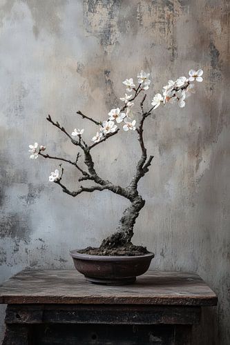 Bonsai met amandelbloesem en old hout stilleven.