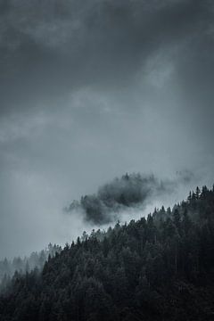Storm In The Mountains (Portrait) by Andreas Vanhoutte